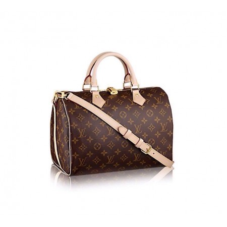 Женская брендовая сумка Louis Vuitton Broun